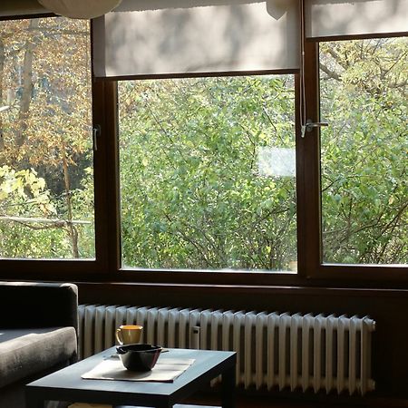Wendy House Apartman Szófia Kültér fotó