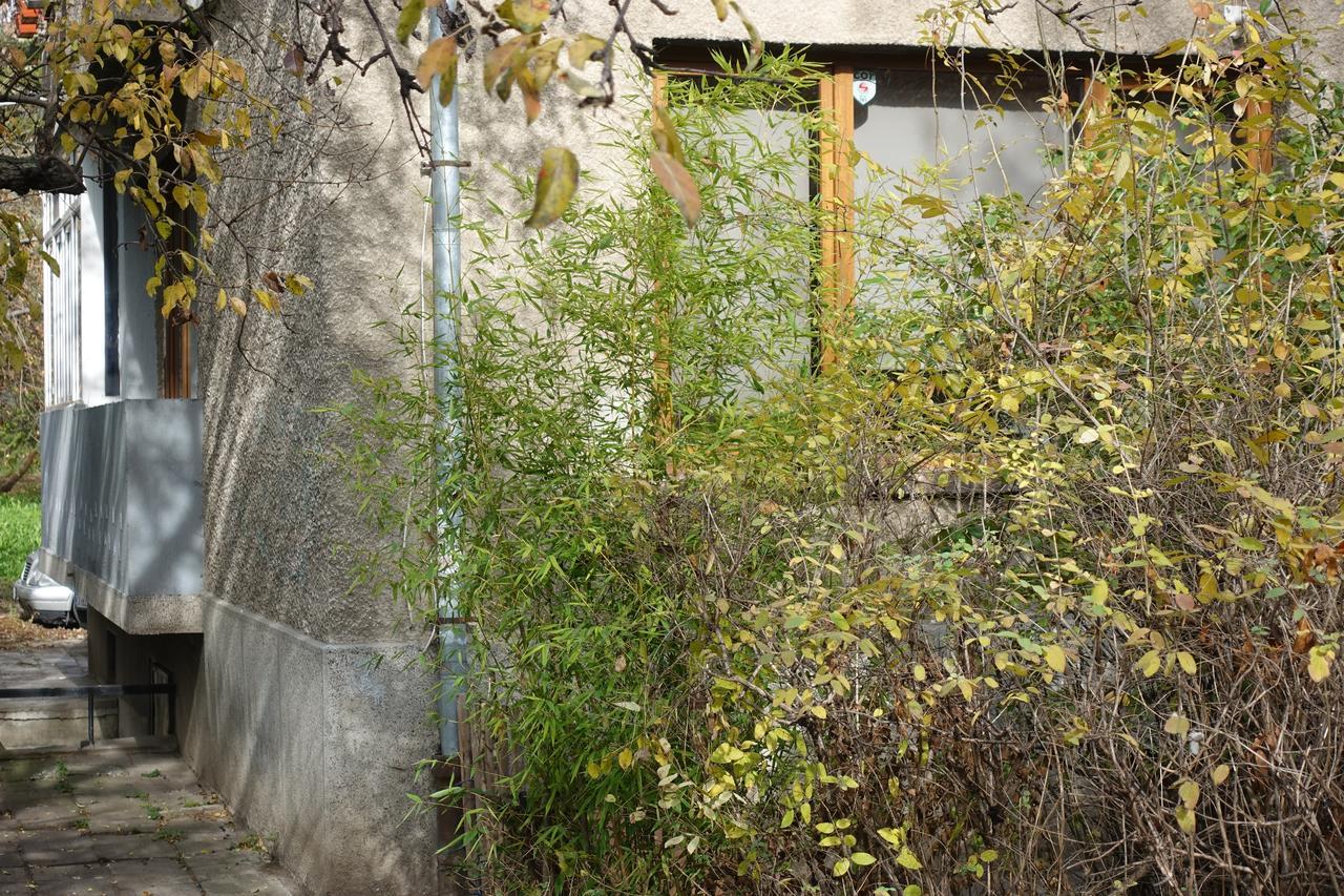 Wendy House Apartman Szófia Kültér fotó